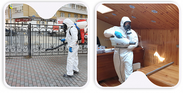 Уничтожение грызунов Уничтожение грызунов